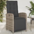 thumbnail image 1 of vidaXL Chaise de Jardin Inclinable d'Extérieur avec Repose-Pieds - Rotin Synthétique Gris, 1 of 5