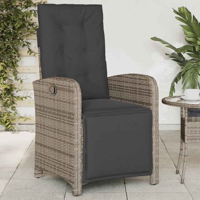 vidaXL Chaise de Jardin Inclinable d'Extérieur avec Repose-Pieds - Rotin Synthétique Gris