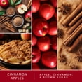 thumbnail image 3 of ScentSationals Scented Wax Cubes - Cinnamon Apples, 3 of 6