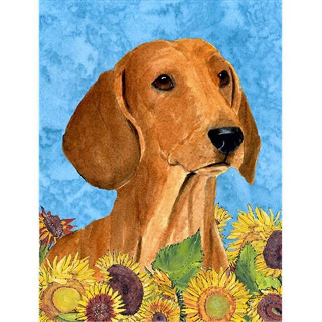 Carolines Treasures SS4120GF 11 x 15 Po. Drapeau Dachshund - Taille Jardin