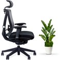 thumbnail image 2 of Aery Chair - Ergonomic Mesh Office Chair, 2 of 8