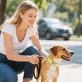 thumbnail image 3 of Adjustable Reflective Nylon Dog Collar - Heavy Duty Design with Metal Quick Release Buckle for Medium to Large Dogs Ideal for Outdoor Activities and Training, 3 of 4