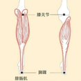thumbnail image 3 of Bandage Compression Strap Outdoor Elastic Force Knee Elbow Wrist Ankle Support Wrap, 3 of 12