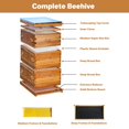 thumbnail image 4 of GloryStar 10-Frame Bee Hive Starter Kit for Beekeepers, Beeswax Dipped, 2 Deep Boxes & 1 Medium Box with Acrylic Window, 4 of 8