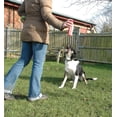 thumbnail image 2 of Correcteur pour Animaux 50 ml, Lot de 8, 2 of 8