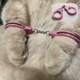 thumbnail image 3 of Tingzi Menottes pour Chat Jouet Menottes pour Chat Menottes Amusantes pour Chat Mini Menotte pour Chat Mini Menottes pour Chat Accessoires de Photographie pour Chat Menottes en Acier Inoxydable pour Jouet pour Animal de Compagnie Mini Menotte pour Animal de Compagnie Convenant à la Plupart des Animaux, 3 of 6