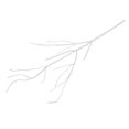 thumbnail image 4 of Simulation Large White Dried Branch Arrangement Supplies For Wedding Home Decor Artificial Plants, 4 of 11