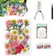 thumbnail image 1 of Wzzjkit Signets Transparents pour Fleurs Séchées Bricolage Signets Transparents pour Fleurs Séchées Kit de Fabrication de Signets pour Fleurs Séchées Ensembles de Fleurs Séchées avec Outils, 1 of 1