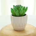 thumbnail image 2 of Coofit Mini Potted Succulent Lifelike - Artificial Plant Faux Succulent in Pot for Home, 2 of 4