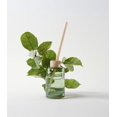 thumbnail image 3 of Skandinavisk Fjord Scent Diffuser with 8 Reeds. Lasts +3 Months. Fragrance Notes: Apples and Pear Blossom, Orchard Fruits and Redcurrants. 6.75 fl. oz., 3 of 6