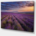 thumbnail image 2 of Dark Lavender Field with Cloudy Sky - Floral Canvas Art Print, 2 of 3