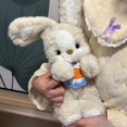 thumbnail image 4 of Cute Rabbit Doll Good Night Rabbit Sleeping Puppy Doll Carrot Apron Rabbit Doll Cotton Doll Gift, 4 of 7