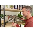 thumbnail image 2 of Jurassic World Hammond Collection Indominus Rex Deluxe Articulated Action Figure Large-Size, 2 of 6