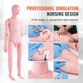 thumbnail image 3 of VEVOR Manikin d'Entraînement Infirmier, Manikin Humain de Démonstration Taille Réelle pour la Formation Infirmière, Modèle Éducatif Multifonctionnel, Mannequin Anatomique en PVC, Simulateur de Soins Corporels, 3 of 9