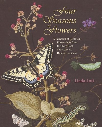 Quatre Saisons de Fleurs : une Sélection d'Illustrations Botaniques de la Collection de Livres Rares aux Chênes Dumbarton