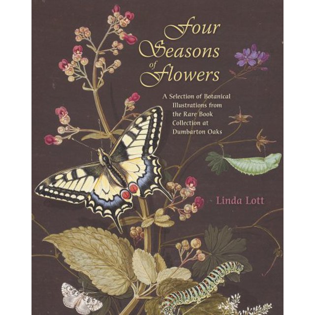 Quatre Saisons de Fleurs : une Sélection d'Illustrations Botaniques de la Collection de Livres Rares aux Chênes Dumbarton