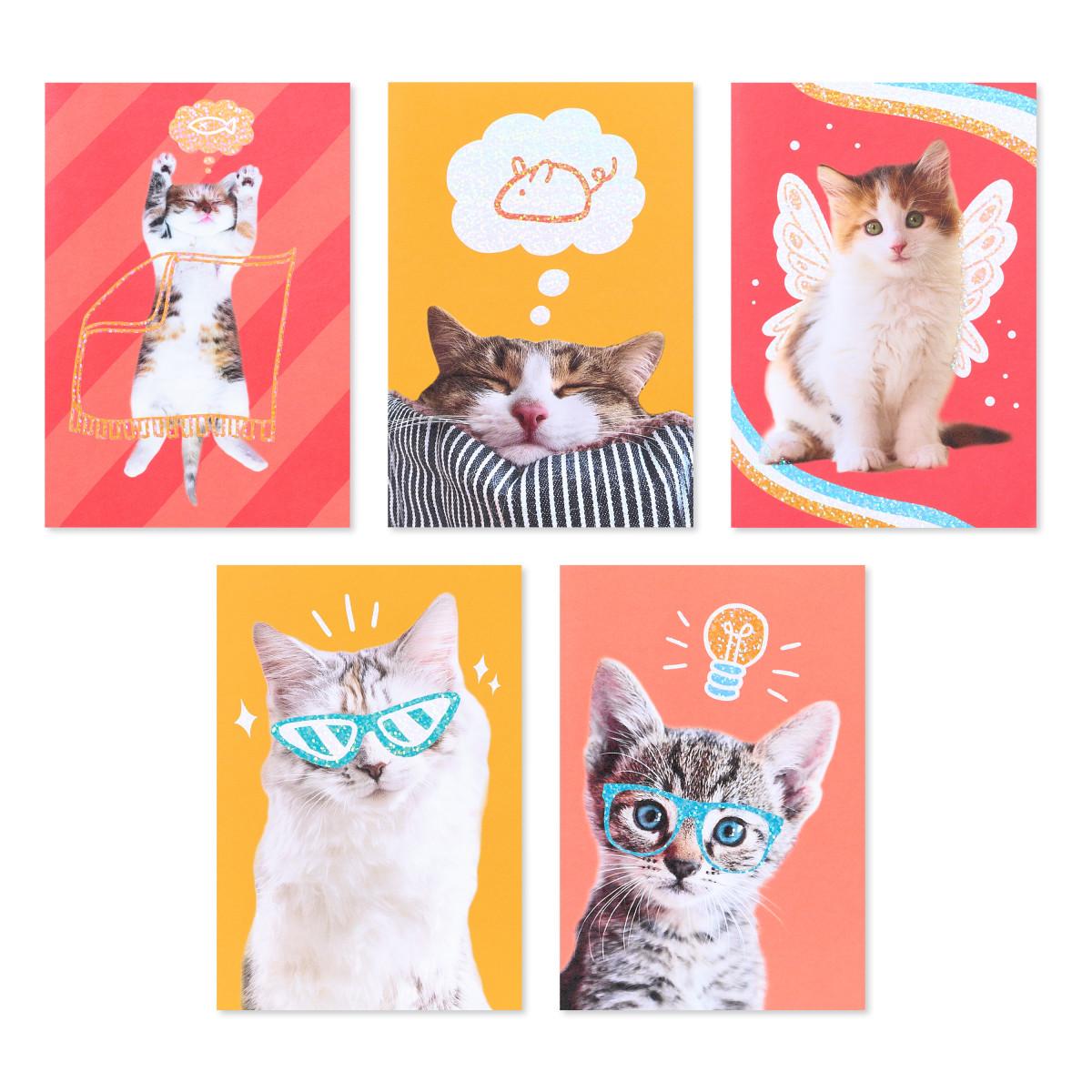 American Greetings - Assortiment en boîte de 15 cartes sans texte et enveloppes, Chats rigolos