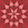 thumbnail image 1 of Ahgly Company Tapis d'Intérieur Lavable en Machine Carré Rouge, 8 Pieds Carré, 1 of 7