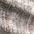 thumbnail image 4 of Loloi Medusa Graphite / Coucher de Soleil - 6' x 8'-8", 4 of 4