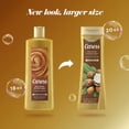 thumbnail image 4 of Caress Body Wash For Gorgeous Radiant Skin Shea Butter & Brown Sugar Hydrating and Exfoliating Body Wash 20 fl oz, 4 of 5