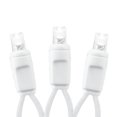 thumbnail image 3 of Novelty Lights 4x6 Outdoor LED Net Lights, 100 Pure White LEDs, White Wire, 3 of 5
