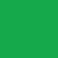 thumbnail image 2 of Cricut Infusible Ink solid Bright Green 12x12 (2), 2 of 2