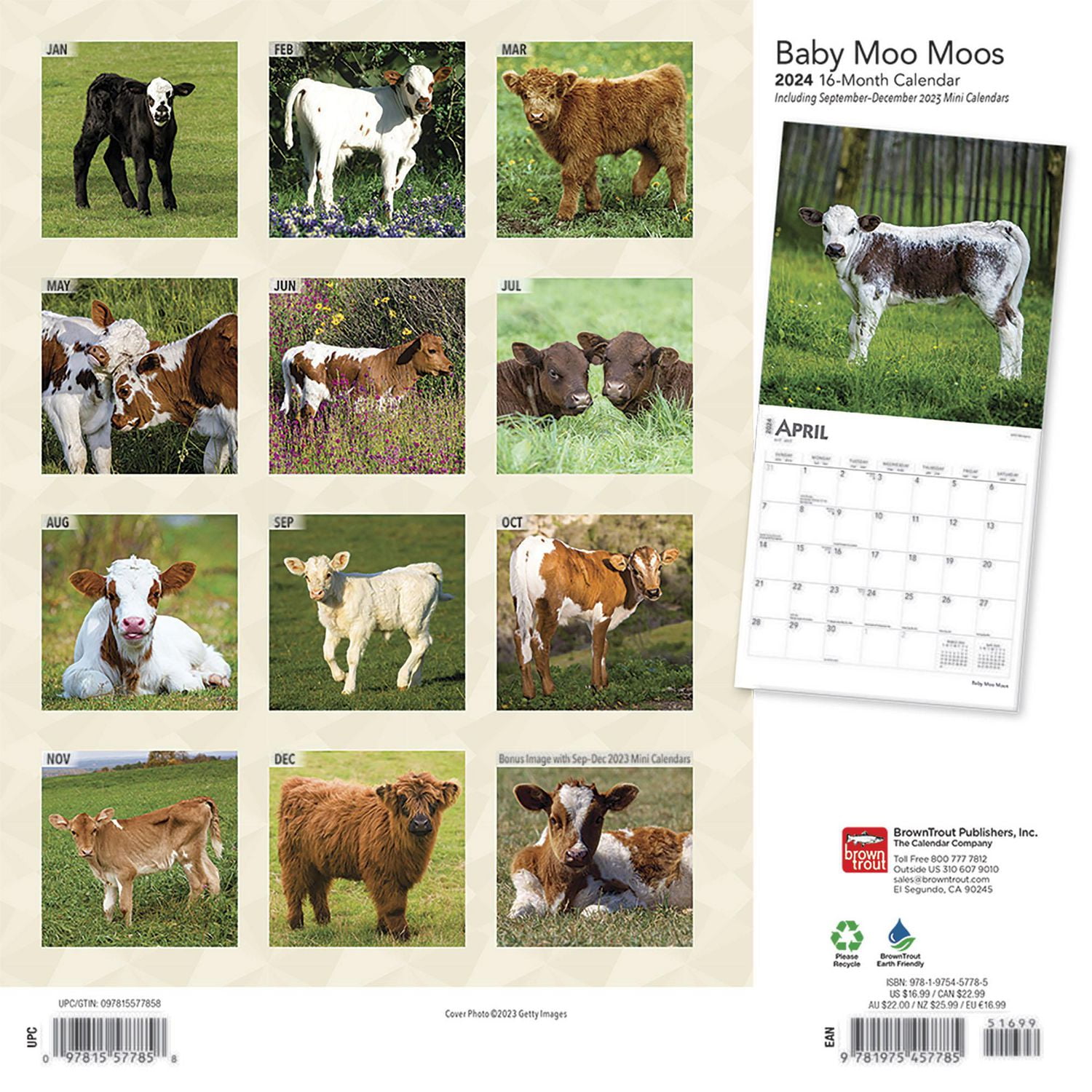 BrownTrout Bébés Vaches 2024 Mur Carré 30.48x60.96 CM, 9781975457785