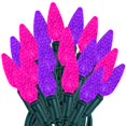 thumbnail image 1 of Novelty Lights 24FT 70 LED C6 Valentine's Day String Lights, Pink & Purple, 1 of 6