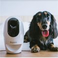 thumbnail image 3 of Pawbo+ Wi-Fi Interactive Pet Camera and Treat Dispenser, 3 of 9