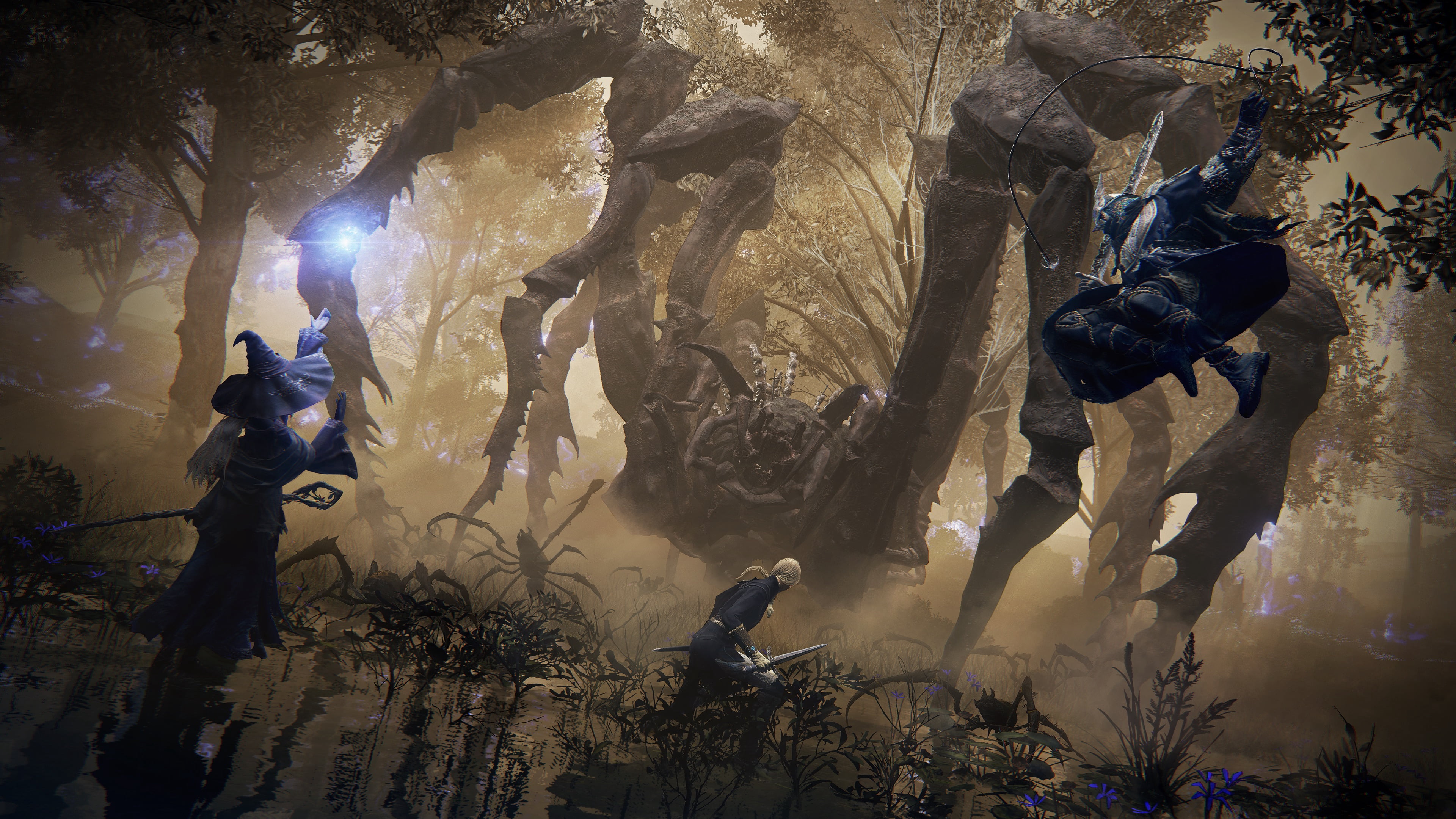 Jeu vidéo Elden Ring Nightreign, PlayStation 5
