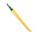 thumbnail image 3 of Feltree Chili Shaped Vegetable Styling Gel Ink Pen with 0.5mm Fine Tip, Writing Pen for Students and Office Supplies, Multifunctional for Drawing and Signing, 3 of 8