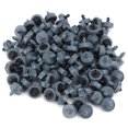 thumbnail image 2 of Ailao Drip Emitter 100PCS/Bag 4L Drip Irrigation Pressure Compensating Emitter Irrigation Equipment, 2 of 8