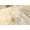 GOLD, variant on NEW ZEALAND SHEEPSKIN OCTO RUG 7' X 6'