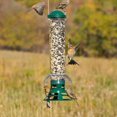thumbnail image 2 of Perky-Pet Squirrel Slammer Wild Bird Feeder, 2 of 9