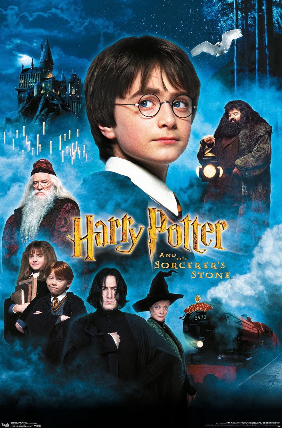 Harry Potter à l'école des sorciers - Bougies One Sheet