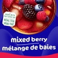 thumbnail image 3 of mio Iced Tea Drink Mix, 1 Canister, for Flavourful Hydration and Shareable Refreshment, Mixed Berry Flavoured, Made with Real Tea, No Artificial Flavours or Colours, 540 g, 3 of 14