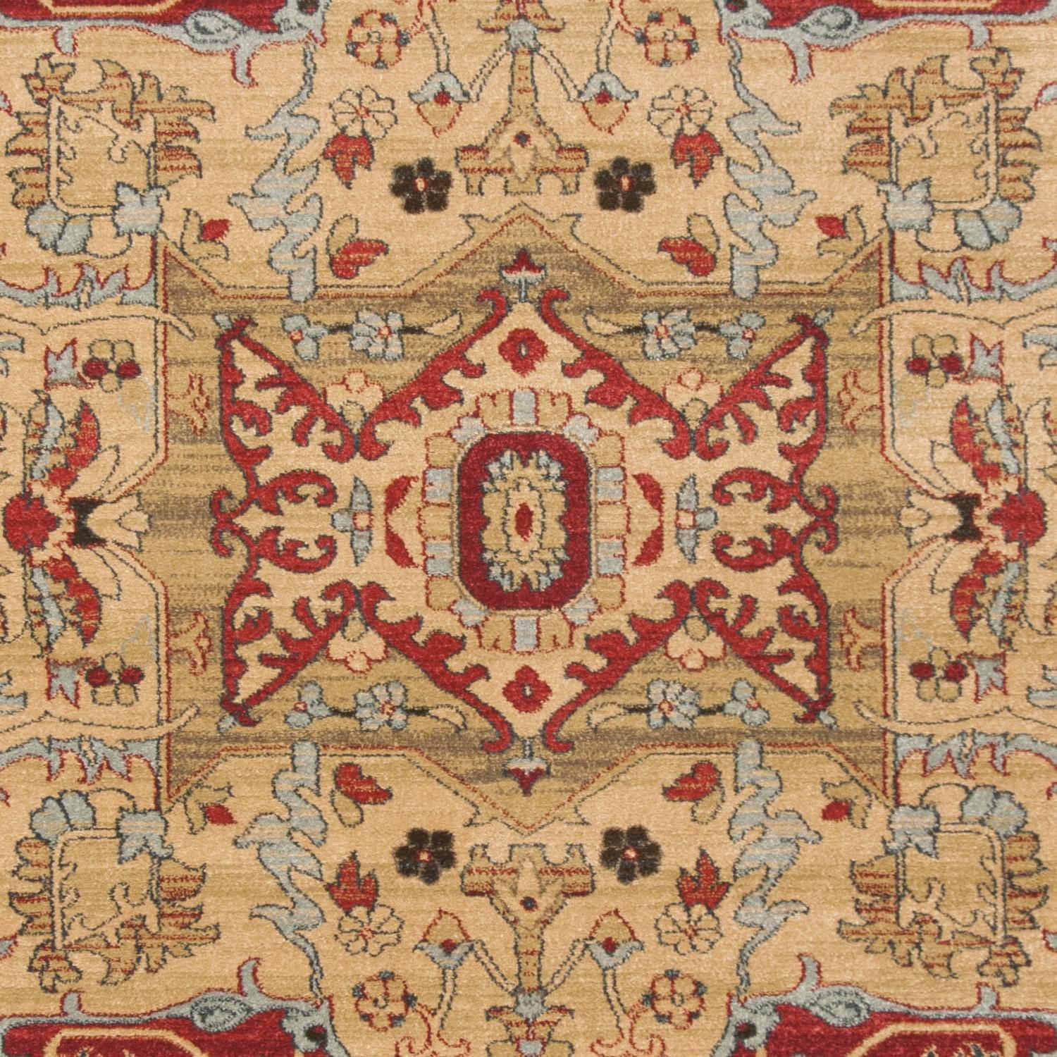 Safavieh Mahal Trecia Tapis Traditionnel
