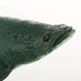 thumbnail image 3 of Realistic Static Ocean Animal Model Toy Animal Toys for Kids Gift Pirarucu, 3 of 9