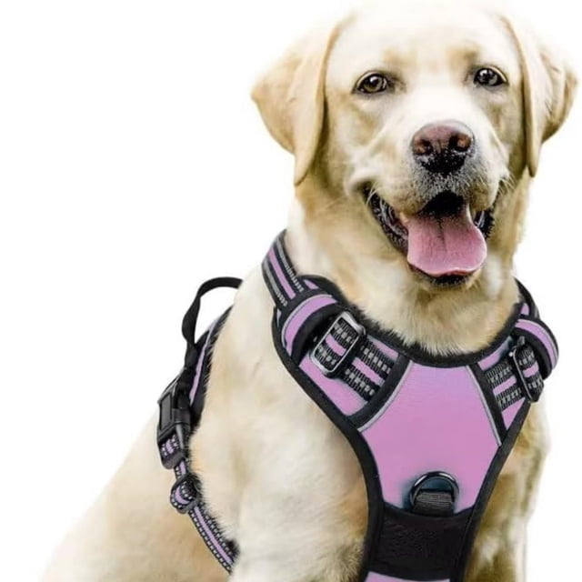 PawSafety No Pull Harness for - Ideal Solution for Everyday Use