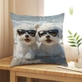 thumbnail image 2 of Cute Animals Print Pillow Set - 45x45 Cm Cushion Cover for Sofa Living Room, 2 of 6