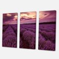thumbnail image 3 of Designart Sunrise & Dramatic Clouds Over Lavender Field III Canvas Wall Art, 3 of 4