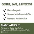 thumbnail image 3 of Aloe & Colloidal Oats Natural Body Lotion for Soothing Relief & Deep Hydration - 8 oz by LatherGreen, 3 of 6