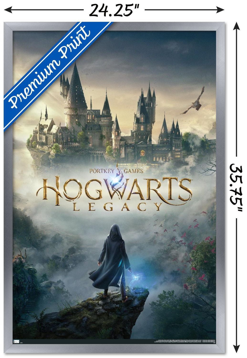 Harry Potter: Hogwarts Legacy - Key Art Wall Poster