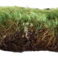 thumbnail image 4 of Vickerman Mousse d'Ambiance Verte de Qualité Supérieure - 2,75 Lb/boîte, 4 of 5