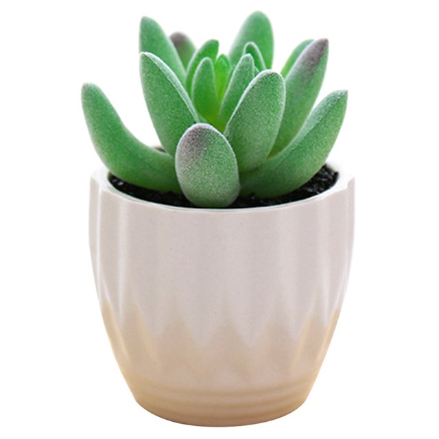 Coofit Mini Potted Succulent Lifelike - Artificial Plant Faux Succulent in Pot for Home