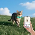 thumbnail image 3 of Hearth & Gear Holder For Dog Collar Collar For Pe Ts Reflective Dog Collar Pet Collar With Locator Protective Cover Not Include Locator (6 Styles) Dog Food Soft Small Dog The Dog Store Dog Sequin Bow, 3 of 3