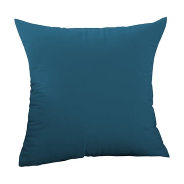 Renjiang Coussin Décoratif en Velours, Housse de Coussin 16x16 pour Canapé Sofa Lit, Housses de Coussin Douces