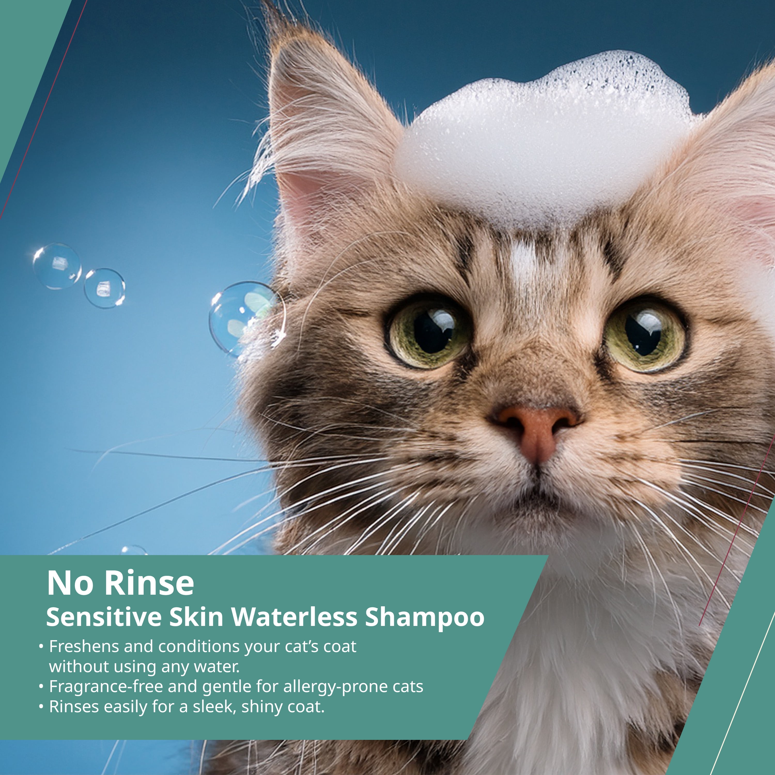 Wahl Shampooing Sans Rinçage pour Chat, 210ml
