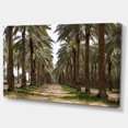 thumbnail image 2 of Date Palm Plantation Photography - Modern Forest Canvas Art, 2 of 3