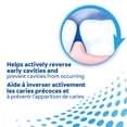 thumbnail image 4 of Colgate PreviDent Booster Plus High Fluoride Toothpaste, Spearmint, 100 ml, 4 of 9